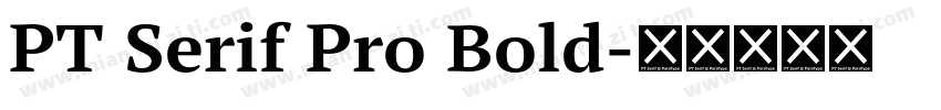 PT Serif Pro Bold字体转换